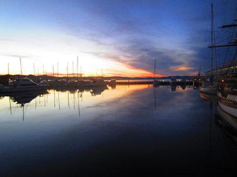Full-Day Tasman Peninsula Tour From Hobart - Surfers Paradise Gold Coast 13