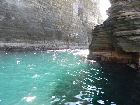 Full-Day Tasman Peninsula Tour From Hobart - Surfers Paradise Gold Coast 2