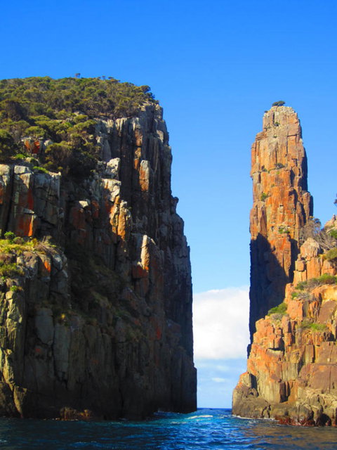 Full-Day Tasman Peninsula Tour From Hobart - Surfers Paradise Gold Coast 10