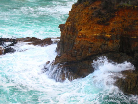 Full-Day Tasman Peninsula Tour From Hobart - Surfers Paradise Gold Coast 6