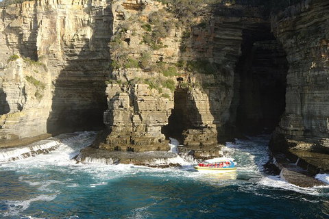 Full-Day Tasman Peninsula Tour From Hobart - Surfers Paradise Gold Coast 18
