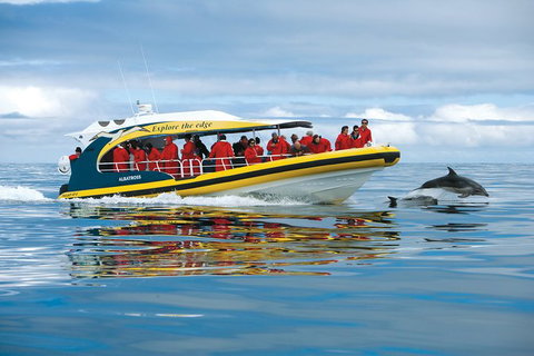 Full-Day Tasman Peninsula Tour From Hobart - Surfers Paradise Gold Coast 17