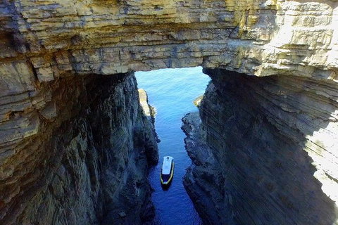 Full-Day Tasman Peninsula Tour From Hobart - Surfers Paradise Gold Coast 19