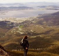 Mt Wellington Half Day Guided Summit Hike - Surfers Paradise Gold Coast