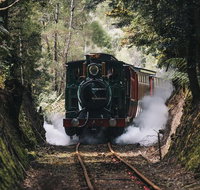 West Coast Wilderness Railway River and Rainforest from Strahan - Surfers Paradise Gold Coast