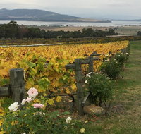 Mona and Wine Experience Tour - Surfers Paradise Gold Coast