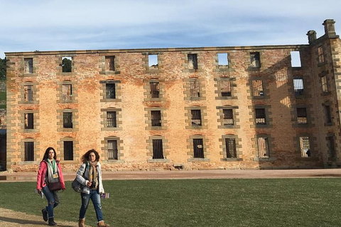 3-Day Tasmania Combo: Hobart To Launceston Active Tour - Surfers Paradise Gold Coast 21