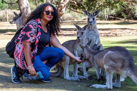3-Day Tasmania Combo: Hobart To Launceston Active Tour - Surfers Paradise Gold Coast 19
