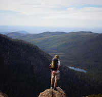 Mount Field National Park - Tarn Shelf  Russell Falls - Guided Hiking Tour - Surfers Paradise Gold Coast