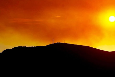 Half-Day Mt Wellington Summit Tour From Hobart - Surfers Paradise Gold Coast 1