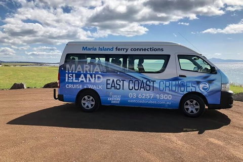 Maria Island Shuttle Bus Hobart To Triabunna (Round Trip) - Surfers Paradise Gold Coast 5