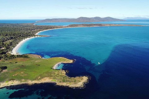 Maria Island Shuttle Bus Hobart To Triabunna (Round Trip) - Surfers Paradise Gold Coast 9