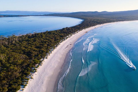 Maria Island Shuttle Bus Hobart To Triabunna (Round Trip) - Surfers Paradise Gold Coast 6