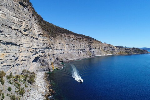 Maria Island Shuttle Bus Hobart To Triabunna (Round Trip) - Surfers Paradise Gold Coast 11