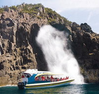 Full-Day Bruny Island Tour from Hobart - Surfers Paradise Gold Coast