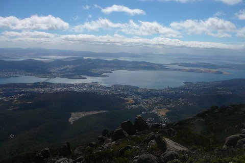 Mount Wellington Tour From Hobart - Surfers Paradise Gold Coast 0