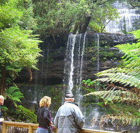 Mt Field National Park and Russell Falls from Hobart - Surfers Paradise Gold Coast