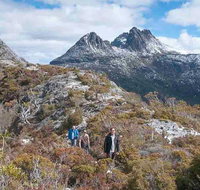 5-Day Tasmania West Coast Camping Tour Hobart to Launceston Including Mount Field National Park Tarkine and Cradle Mountain - Surfers Paradise Gold Coast