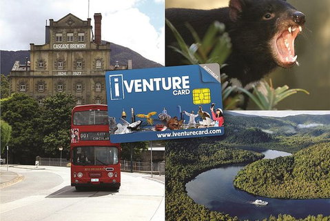 Tasmania Sightseeing Pass: Flexi 3 Pass - Surfers Paradise Gold Coast 0