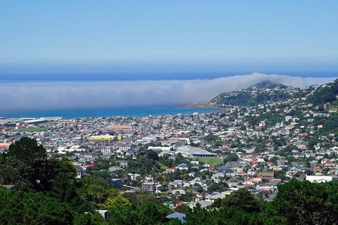 Hobart Shore Excursion: Small Group Mount Wellington 3-Hour Bike Tour - Surfers Paradise Gold Coast 0