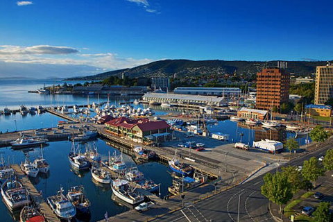 Hobart Shore Excursion: Small Group Mount Wellington 3-Hour Bike Tour - Surfers Paradise Gold Coast 6