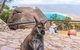 Wineglass Bay & Freycinet NP Full Day Tour From Hobart Via Richmond Village - thumb 2