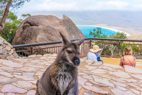 Wineglass Bay & Freycinet NP Full Day Tour From Hobart Via Richmond Village - Surfers Paradise Gold Coast 2