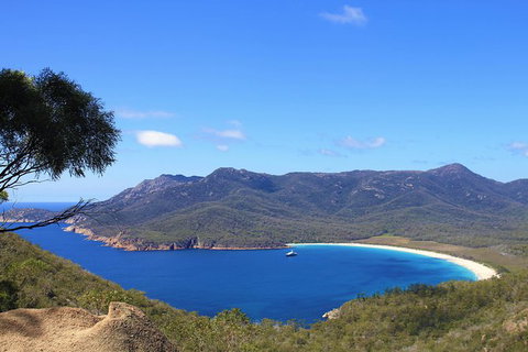 Wineglass Bay & Freycinet NP Full Day Tour From Hobart Via Richmond Village - Surfers Paradise Gold Coast 10