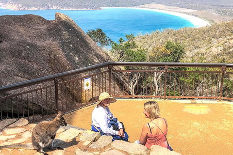Wineglass Bay & Freycinet NP Full Day Tour From Hobart Via Richmond Village - Surfers Paradise Gold Coast 7