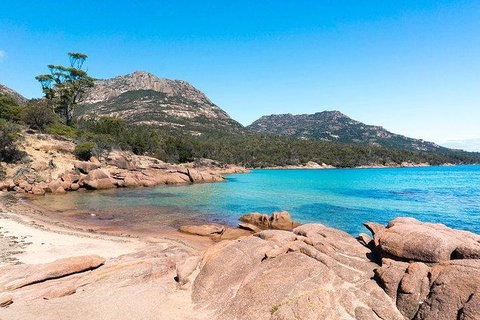 Wineglass Bay & Freycinet NP Full Day Tour From Hobart Via Richmond Village - Surfers Paradise Gold Coast 4
