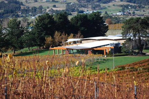 Home Hill Winery Helicopter Tour - Surfers Paradise Gold Coast 1