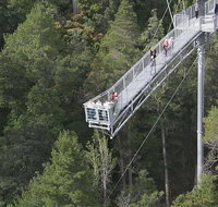 Cruise Ship Special from Hobart Mt Wellington and Tahune AirWalk - Surfers Paradise Gold Coast