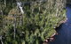 Cruise Ship Special From Hobart: Mt Wellington And Tahune AirWalk - thumb 1