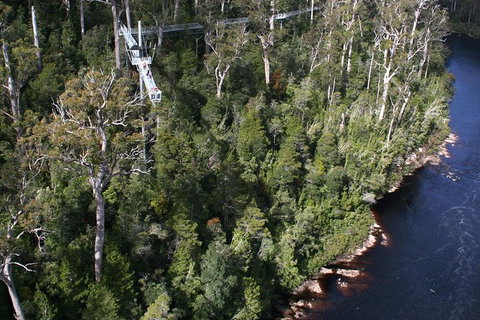 Cruise Ship Special From Hobart: Mt Wellington And Tahune AirWalk - Surfers Paradise Gold Coast 1