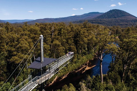 Cruise Ship Special From Hobart: Mt Wellington And Tahune AirWalk - Surfers Paradise Gold Coast 6