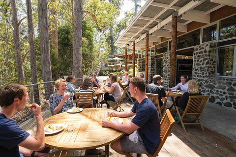 Cruise Ship Special From Hobart: Mt Wellington And Tahune AirWalk - Surfers Paradise Gold Coast 7