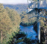 Small-groupTour from Hobart Mt. Wellington Huon Valley and Tahune AirWalk - Surfers Paradise Gold Coast