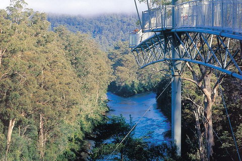 Small-groupTour From Hobart: Mt. Wellington, Huon Valley And Tahune AirWalk - Surfers Paradise Gold Coast 0