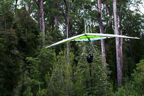 Small-groupTour From Hobart: Mt. Wellington, Huon Valley And Tahune AirWalk - Surfers Paradise Gold Coast 4