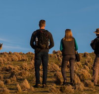 Small Group Tasmanias Wilderness And Wildlife Day Tour - Surfers Paradise Gold Coast