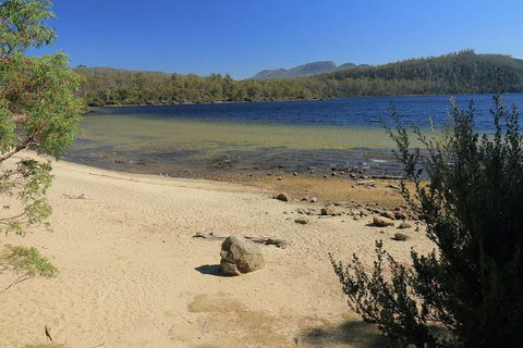 Lake St. Clair And Western Wilderness Active Day Trip From Hobart - Surfers Paradise Gold Coast 5