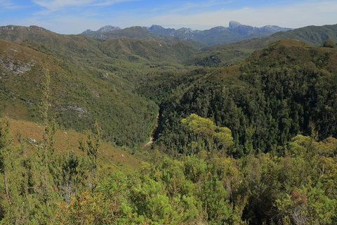 Lake St. Clair And Western Wilderness Active Day Trip From Hobart - Surfers Paradise Gold Coast 9