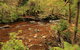 Lake St. Clair And Western Wilderness Active Day Trip From Hobart - thumb 15