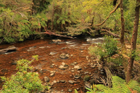 Lake St. Clair And Western Wilderness Active Day Trip From Hobart - Surfers Paradise Gold Coast 15