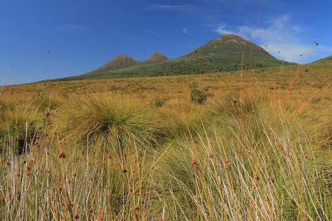 Lake St. Clair And Western Wilderness Active Day Trip From Hobart - Surfers Paradise Gold Coast 11