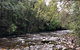 Lake St. Clair And Western Wilderness Active Day Trip From Hobart - thumb 4