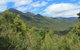 Lake St. Clair And Western Wilderness Active Day Trip From Hobart - thumb 13