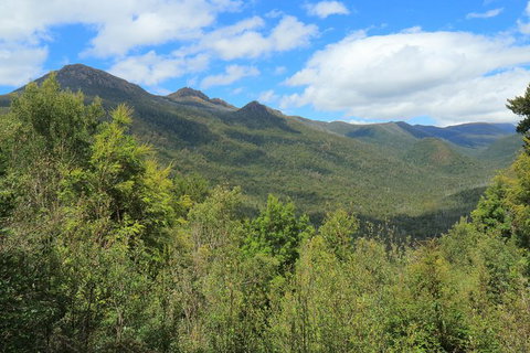 Lake St. Clair And Western Wilderness Active Day Trip From Hobart - Surfers Paradise Gold Coast 13