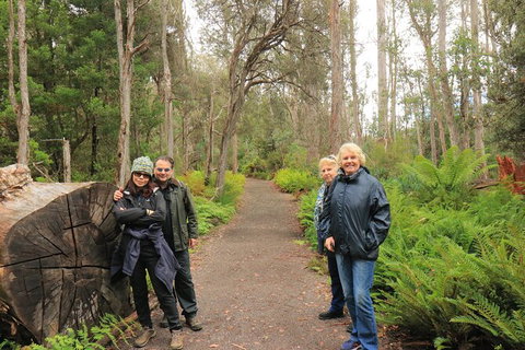 Lake St. Clair And Western Wilderness Active Day Trip From Hobart - Surfers Paradise Gold Coast 8