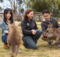 Bonorong Wildlife Park and Richmond Afternoon Tour from Hobart - Surfers Paradise Gold Coast